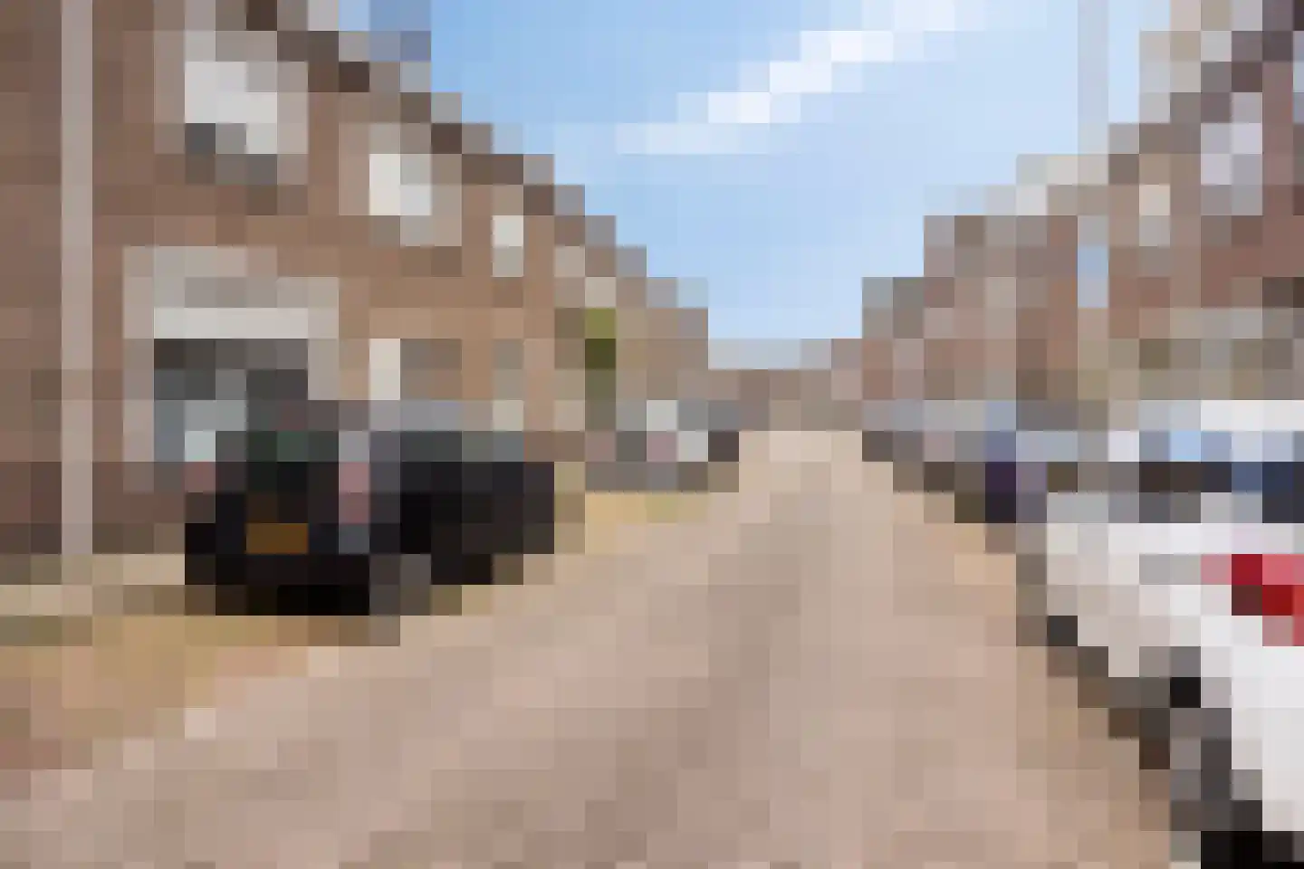 Van Alkemadestraat 16 Tilburg thumbnail 30