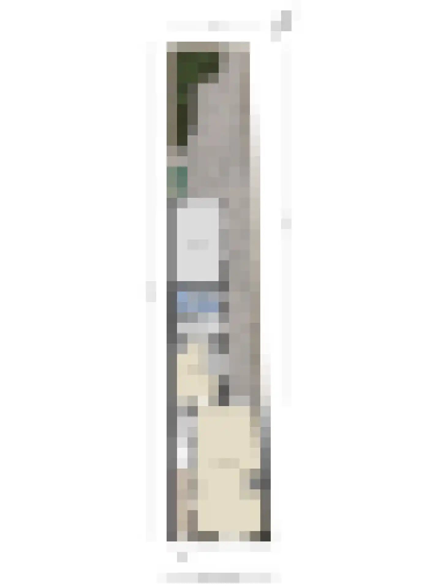 Van Alkemadestraat 16 Tilburg thumbnail 34