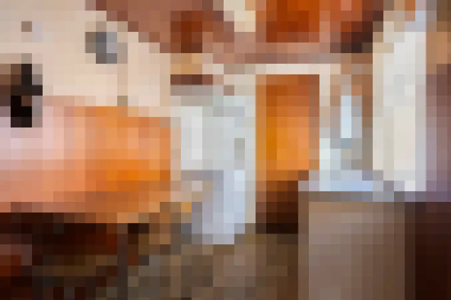 Van Alkemadestraat 16 Tilburg thumbnail 9