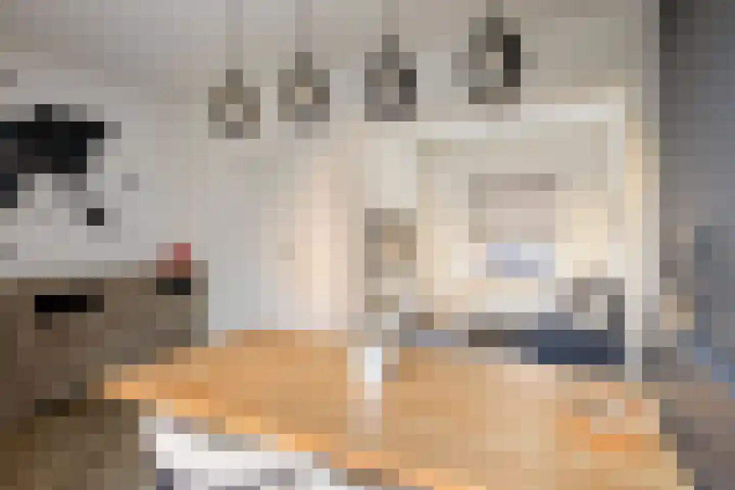 Van Alkemadestraat 21 Tilburg thumbnail 10