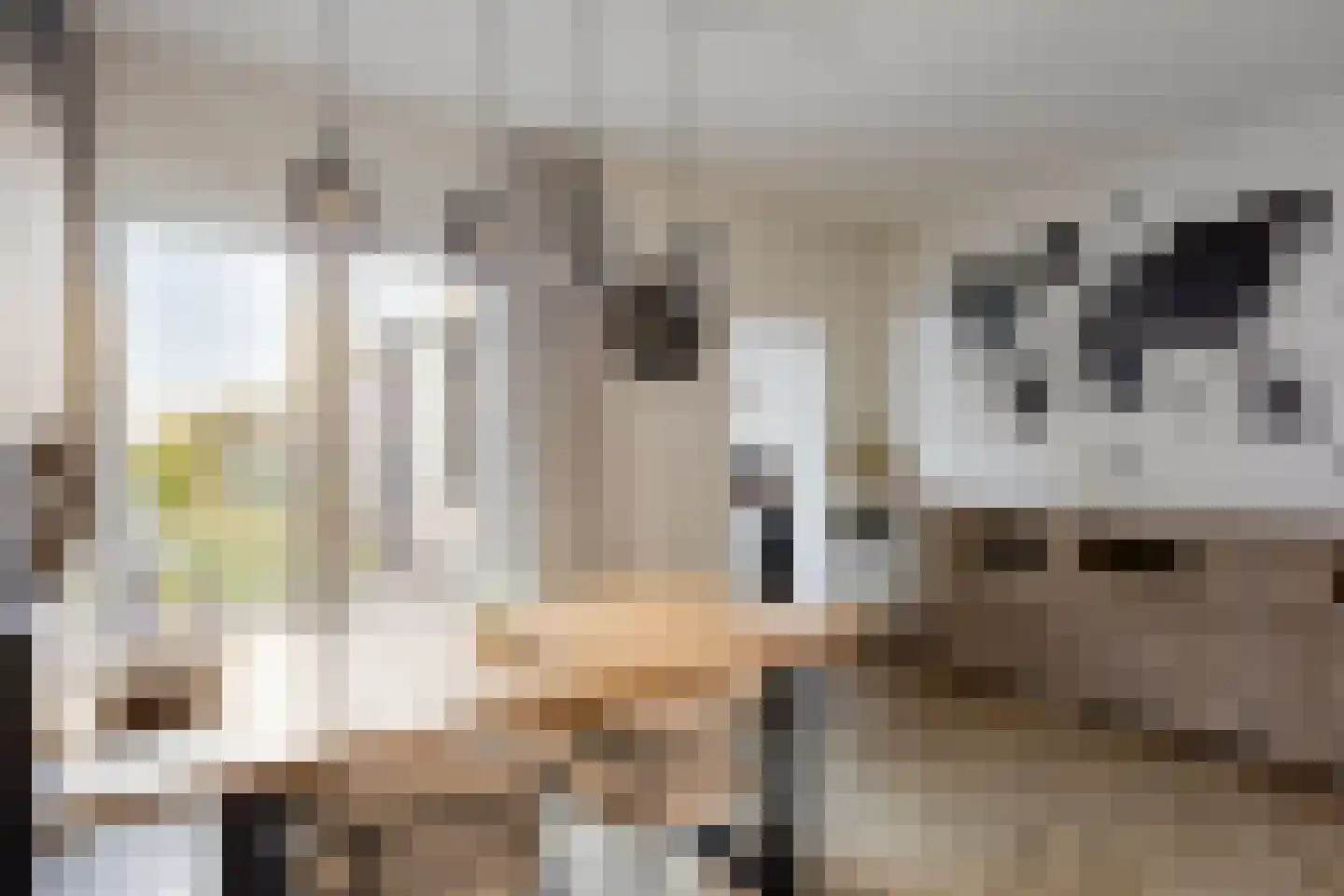 Van Alkemadestraat 21 Tilburg thumbnail 11