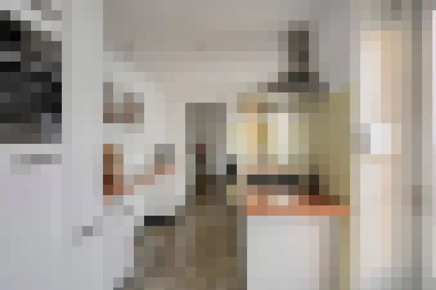 Van Alkemadestraat 21 Tilburg thumbnail 13