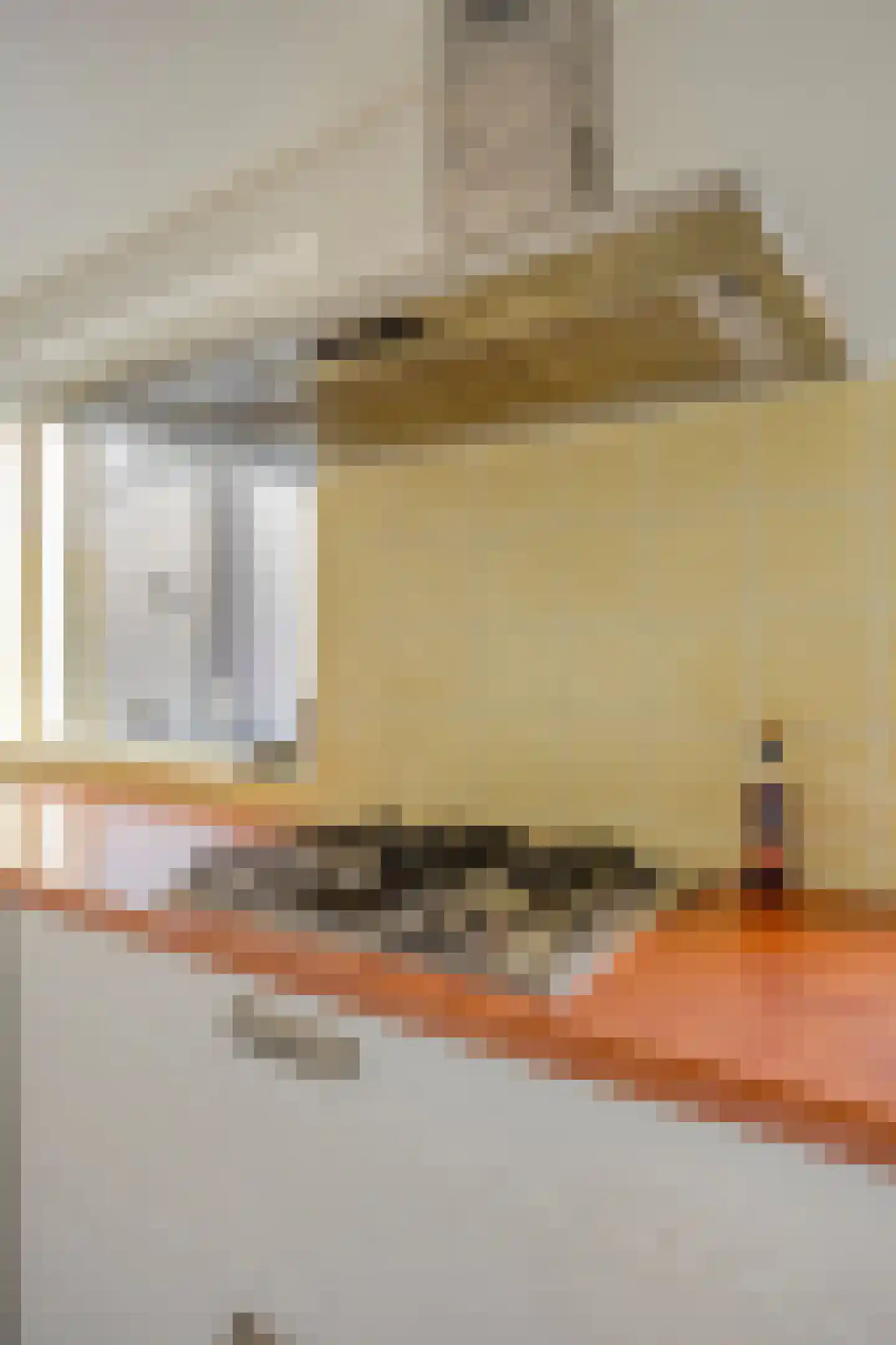 Van Alkemadestraat 21 Tilburg thumbnail 14