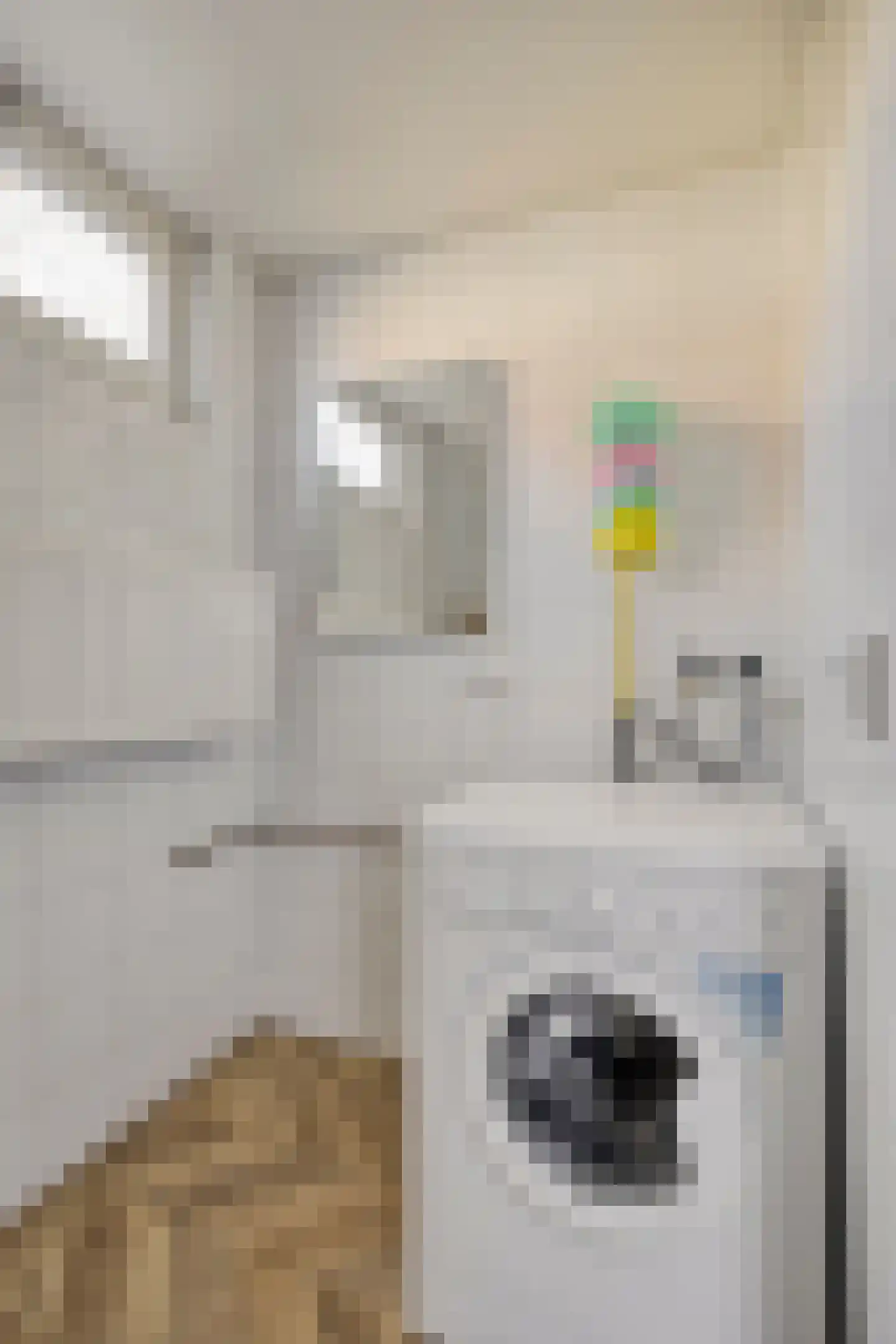 Van Alkemadestraat 21 Tilburg thumbnail 16