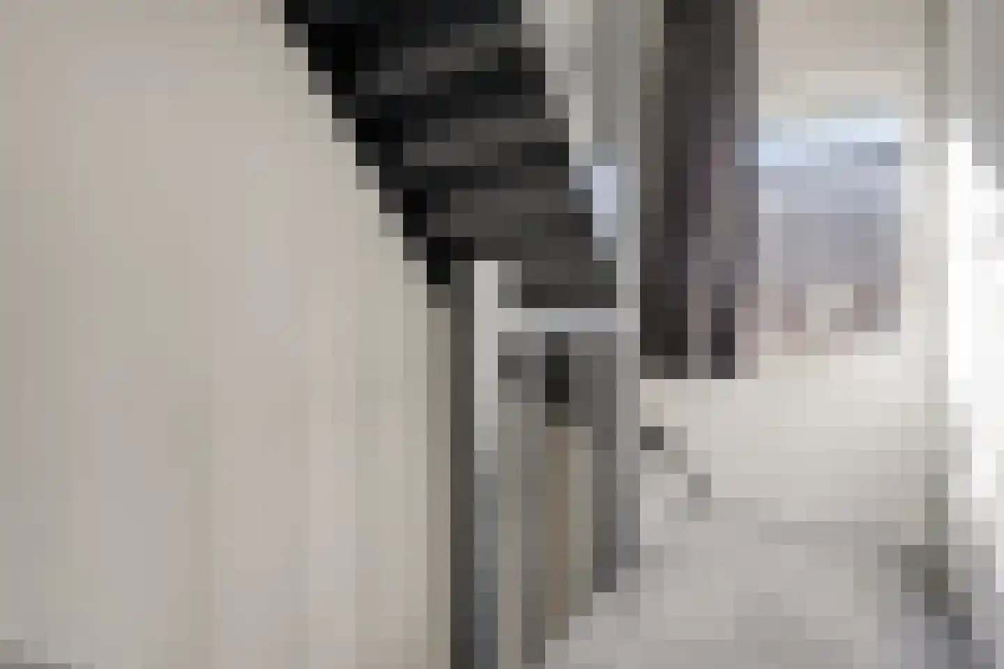 Van Alkemadestraat 21 Tilburg thumbnail 18