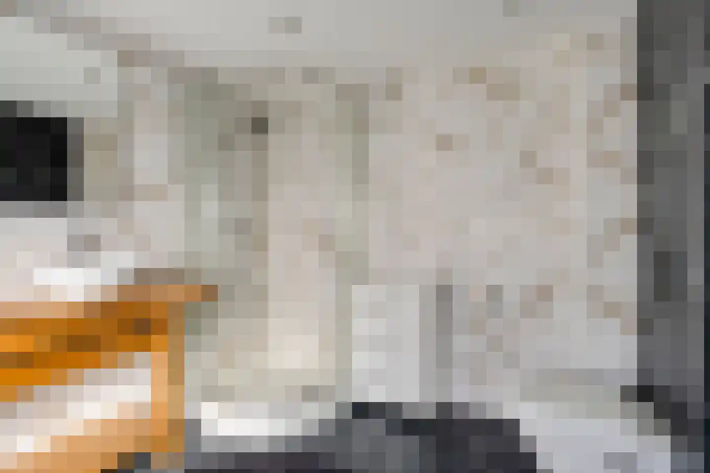 Van Alkemadestraat 21 Tilburg thumbnail 21