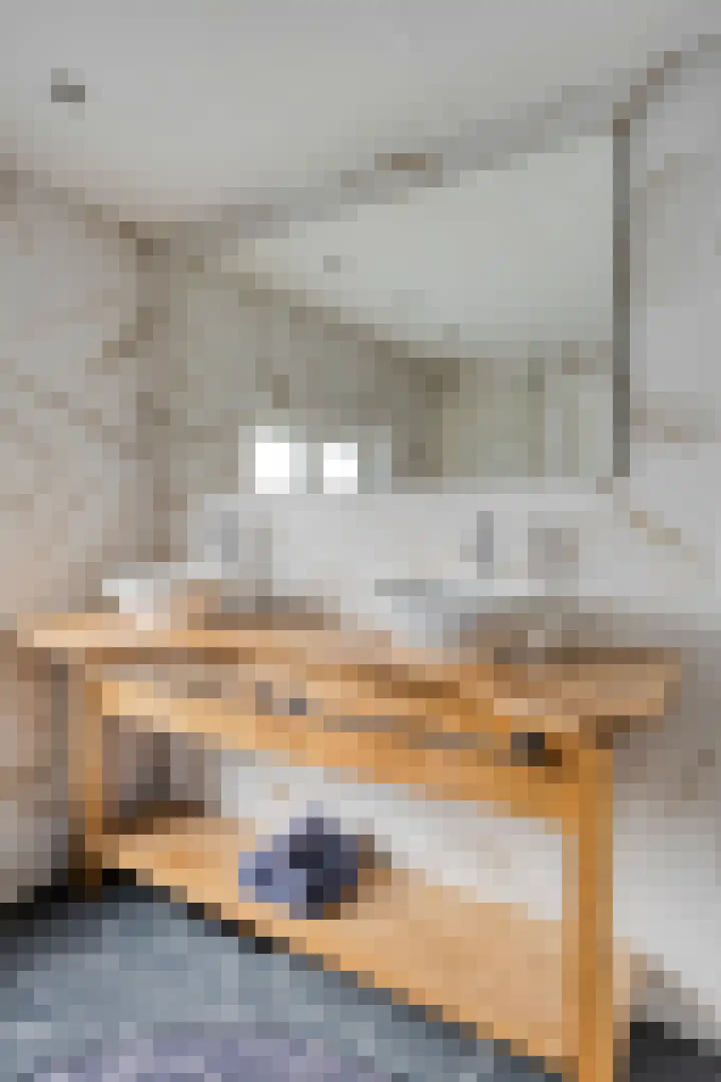 Van Alkemadestraat 21 Tilburg thumbnail 24
