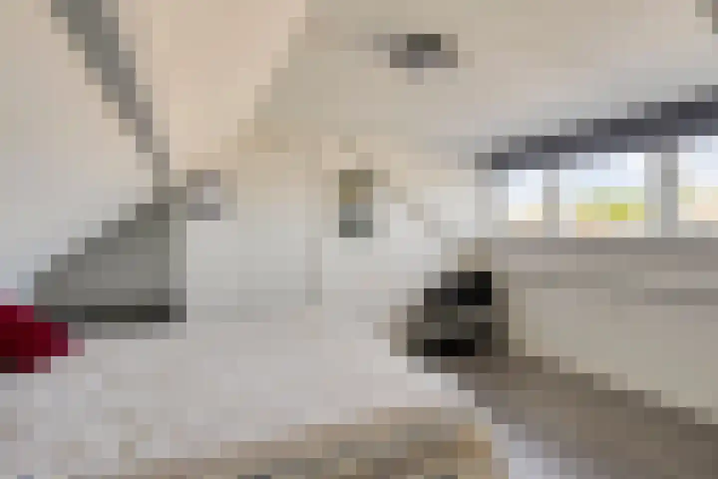 Van Alkemadestraat 21 Tilburg thumbnail 26