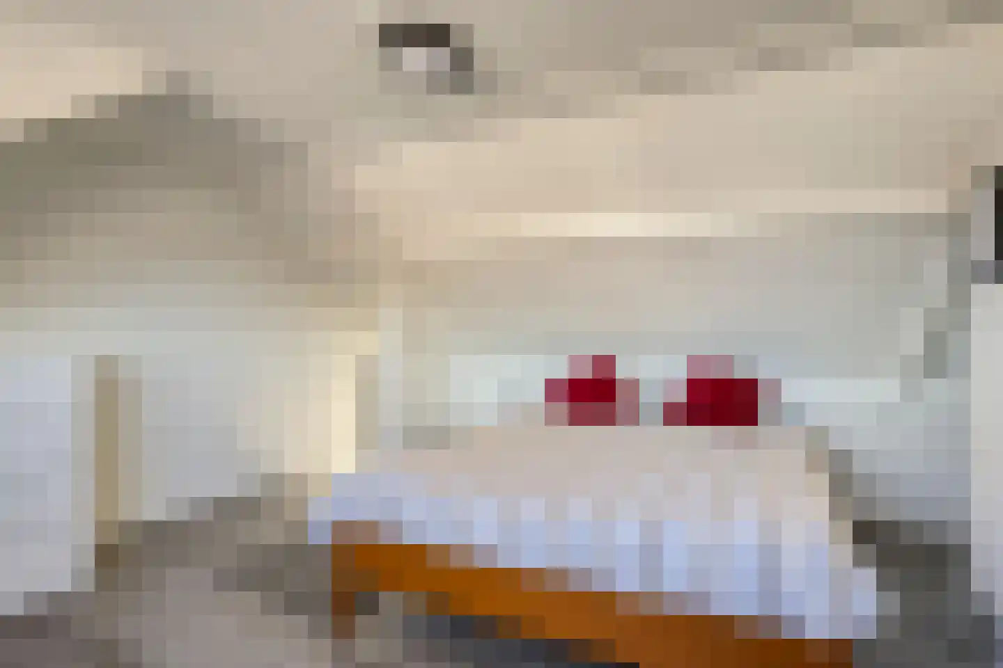 Van Alkemadestraat 21 Tilburg thumbnail 27