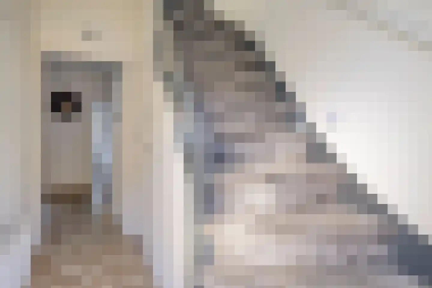 Van Alkemadestraat 21 Tilburg thumbnail 6