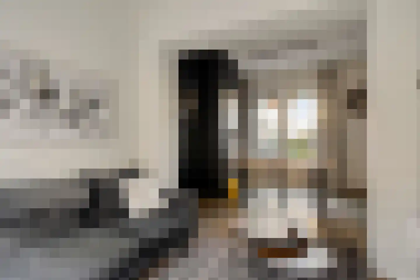 Van Alkemadestraat 21 Tilburg thumbnail 9