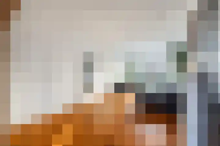 van Alkemadestraat 23 De Lier thumbnail 10