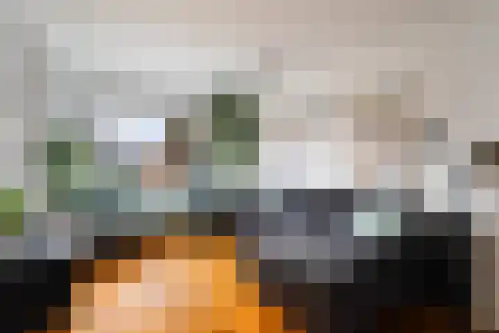 van Alkemadestraat 23 De Lier thumbnail 11