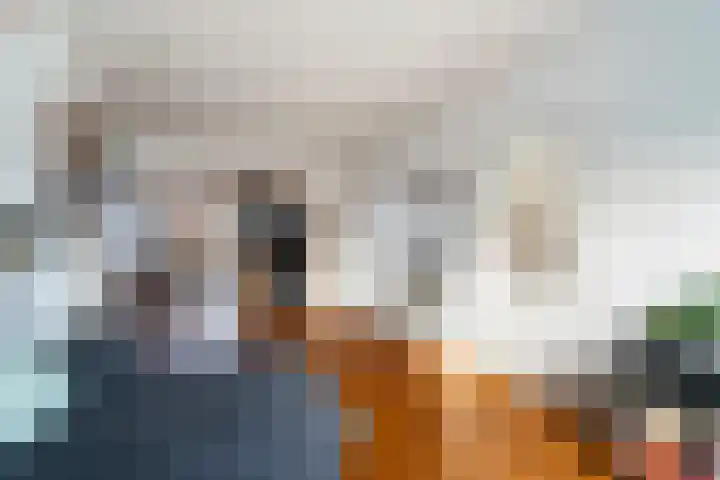 van Alkemadestraat 23 De Lier thumbnail 13