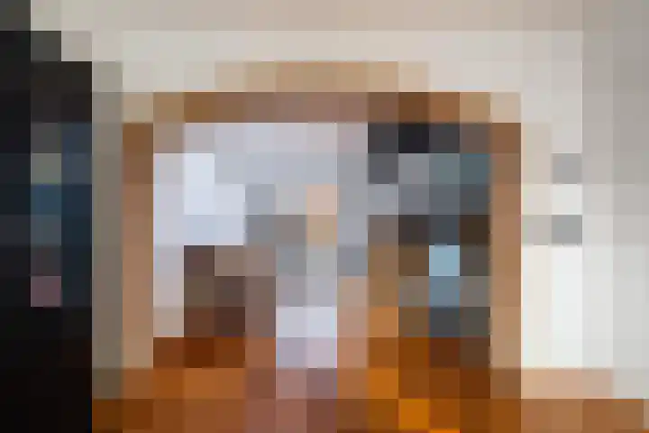 van Alkemadestraat 23 De Lier thumbnail 14