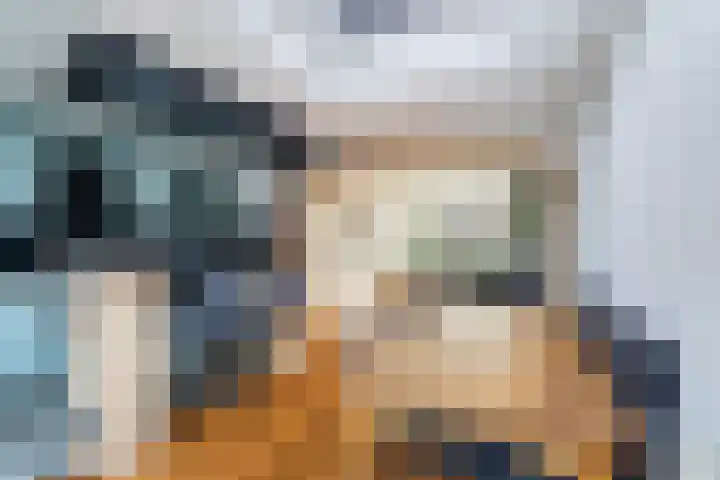 van Alkemadestraat 23 De Lier thumbnail 16