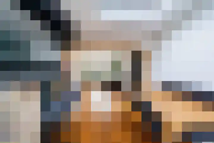 van Alkemadestraat 23 De Lier thumbnail 17