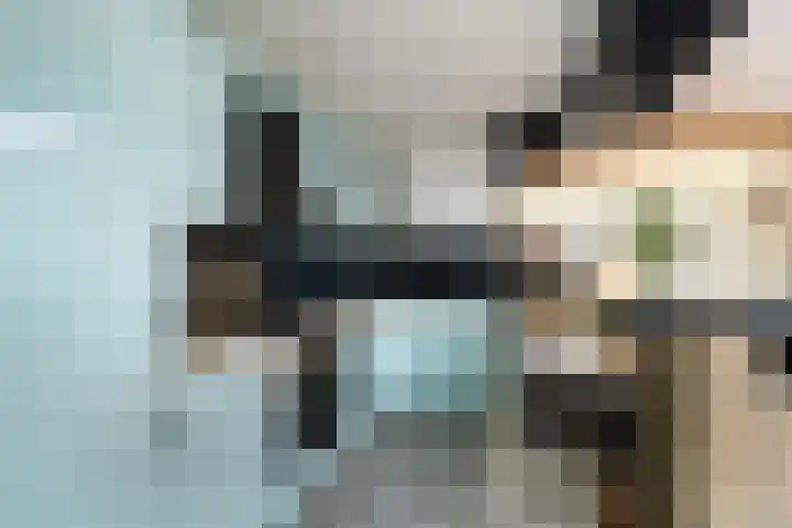 van Alkemadestraat 23 De Lier thumbnail 18