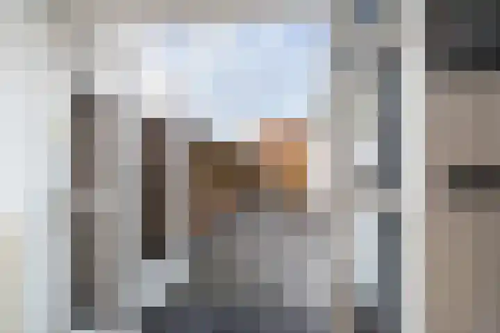 van Alkemadestraat 23 De Lier thumbnail 19