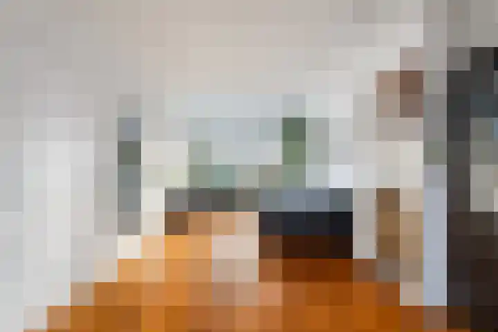 van Alkemadestraat 23 De Lier foto 2