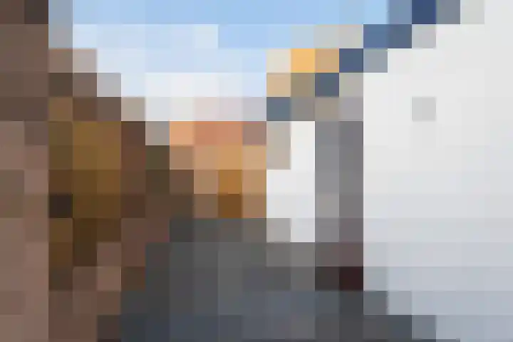 van Alkemadestraat 23 De Lier thumbnail 20