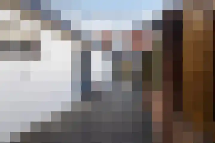 van Alkemadestraat 23 De Lier thumbnail 21