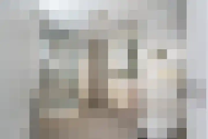 van Alkemadestraat 23 De Lier thumbnail 22
