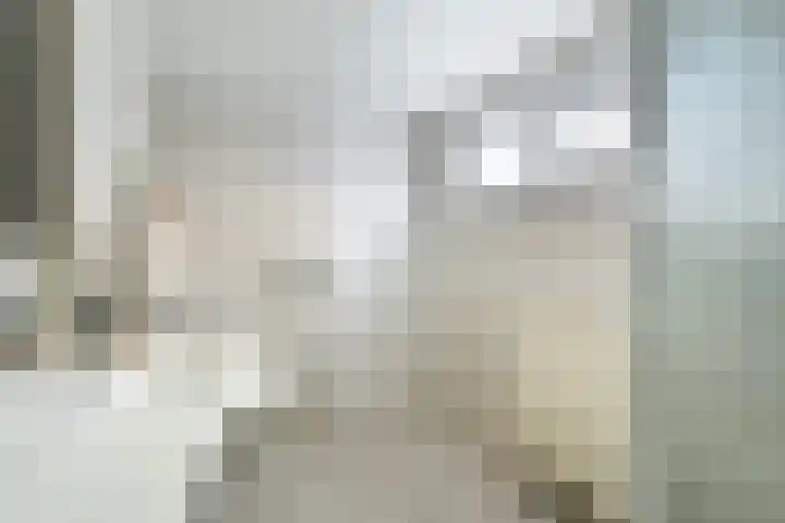 van Alkemadestraat 23 De Lier thumbnail 24