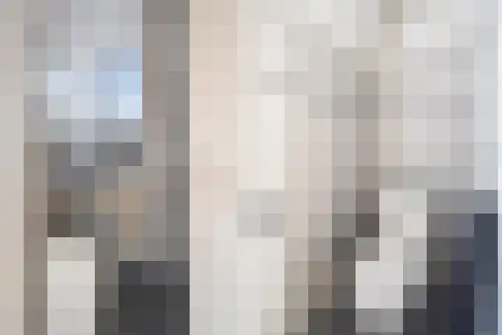 van Alkemadestraat 23 De Lier thumbnail 27