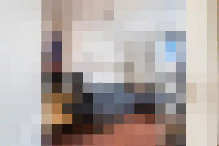 van Alkemadestraat 23 De Lier thumbnail 28