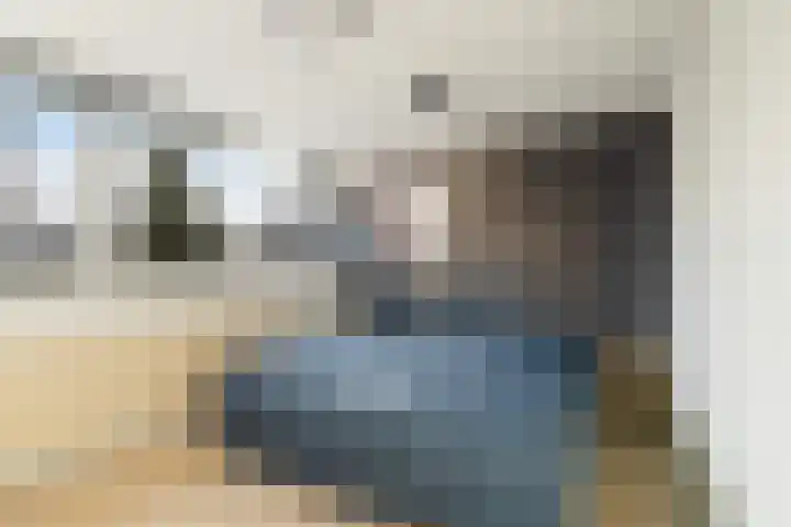 van Alkemadestraat 23 De Lier thumbnail 31