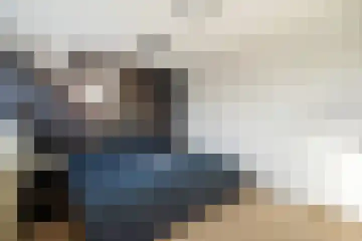 van Alkemadestraat 23 De Lier thumbnail 32