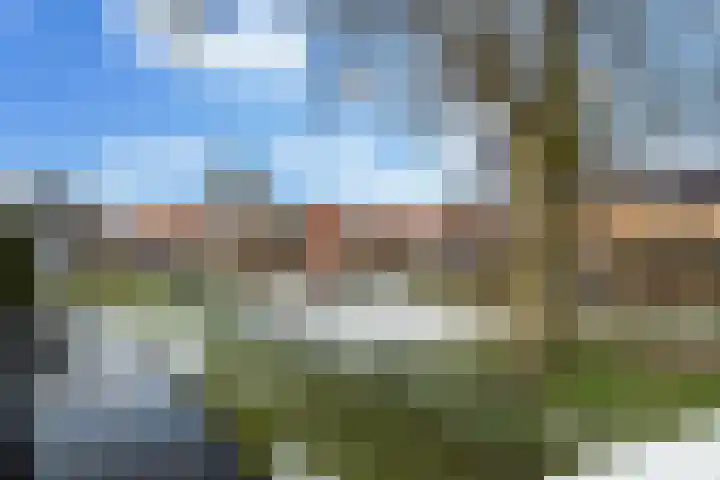 van Alkemadestraat 23 De Lier thumbnail 36