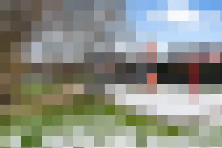 van Alkemadestraat 23 De Lier thumbnail 37