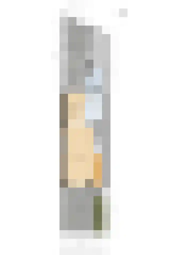 van Alkemadestraat 23 De Lier thumbnail 39