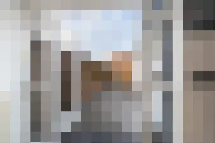 van Alkemadestraat 23 De Lier thumbnail 4