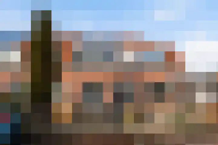 van Alkemadestraat 23 De Lier thumbnail 5