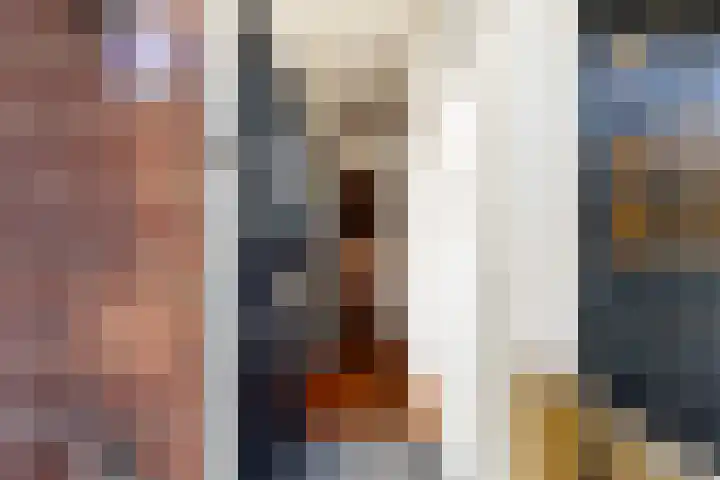 van Alkemadestraat 23 De Lier thumbnail 7