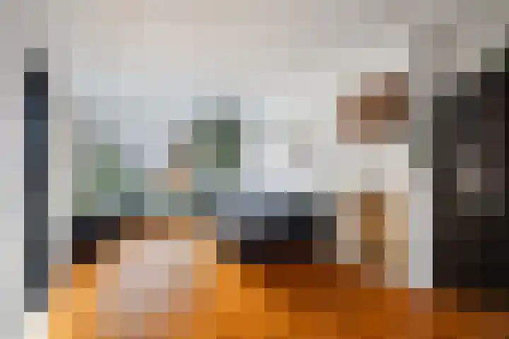 van Alkemadestraat 23 De Lier thumbnail 8