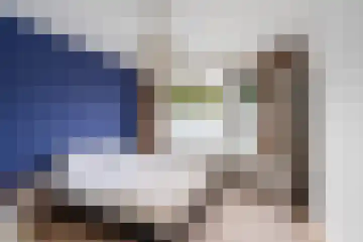 Van Alkemadestraat 38 Rotterdam thumbnail 14