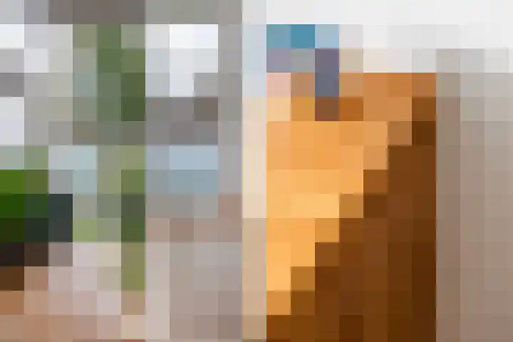 Van Alkemadestraat 38 Rotterdam thumbnail 17