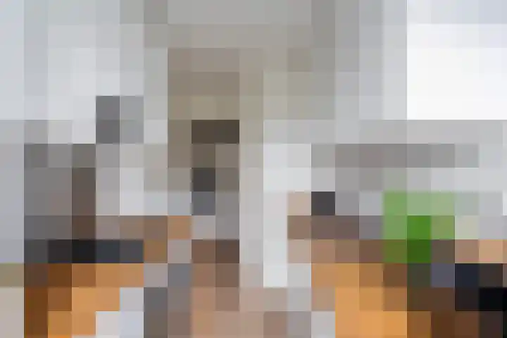 Van Alkemadestraat 38 Rotterdam thumbnail 19