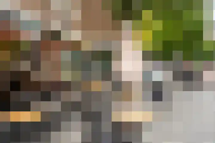 Van Alkemadestraat 38 Rotterdam thumbnail 26
