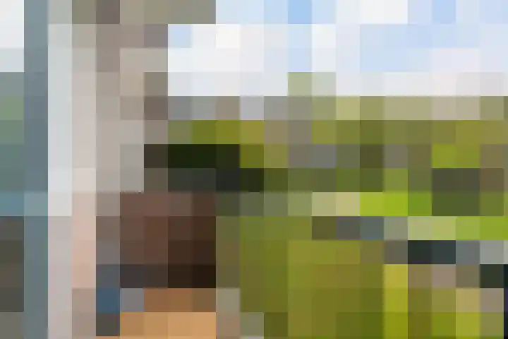 Van Alkemadestraat 38 Rotterdam thumbnail 4