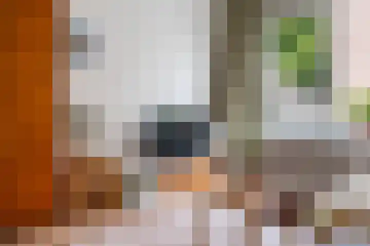 Van Alkemadestraat 38 Rotterdam thumbnail 7