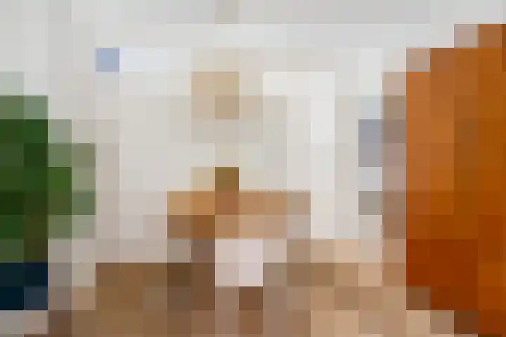 Van Alkemadestraat 38 Rotterdam thumbnail 9