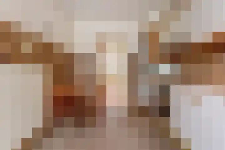 van Alkemadestraat 40 De Lier thumbnail 12
