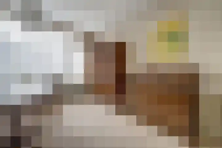 van Alkemadestraat 40 De Lier thumbnail 13