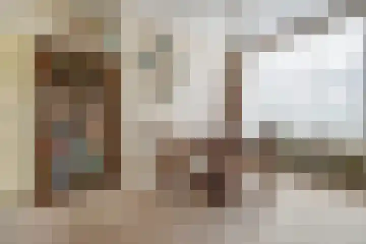 van Alkemadestraat 40 De Lier thumbnail 15