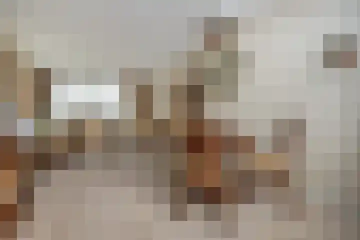 van Alkemadestraat 40 De Lier thumbnail 16
